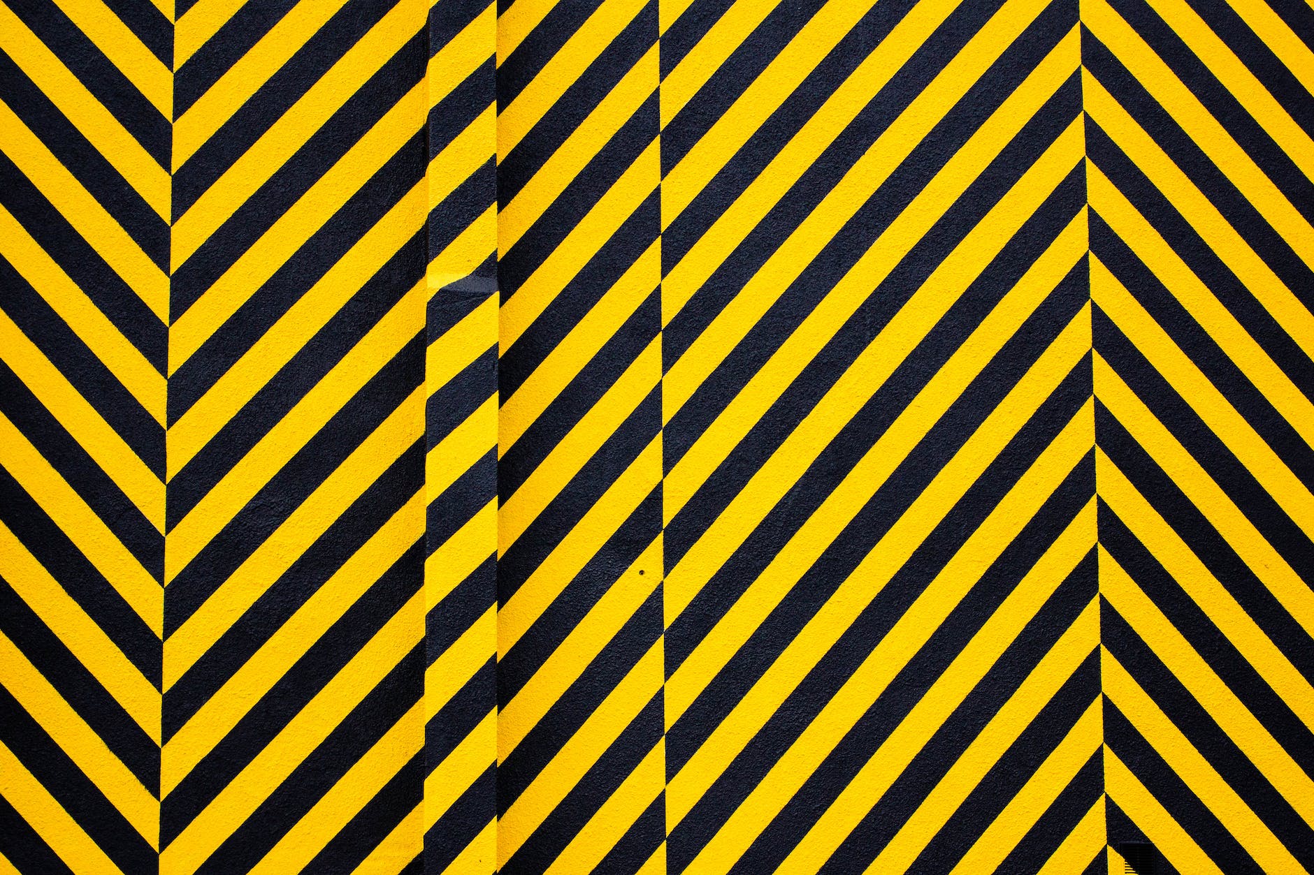 Yellow and Black Striped